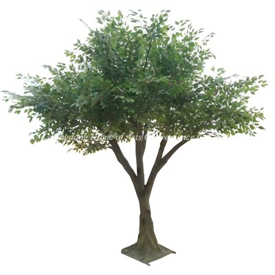 Sahte Banyan Ağacı