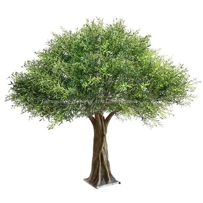 Dev sahte zeytin ağacı