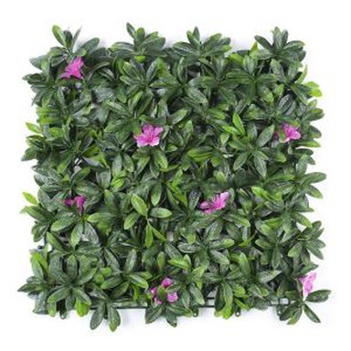 Boxwood Çit Çim Duvar