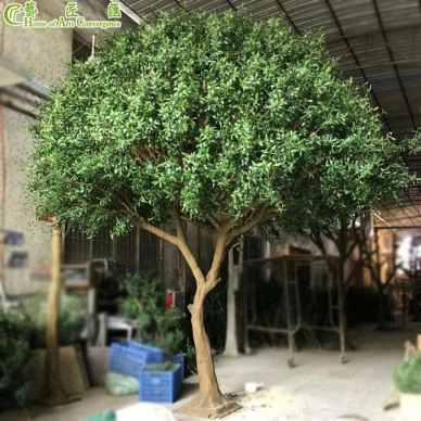 Sahte Zeytin Ağacı Büyük